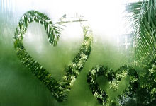 [天下足球]大巴黎战胜勒阿弗尔 取得开门红.：旺财28